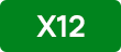 x12 bus